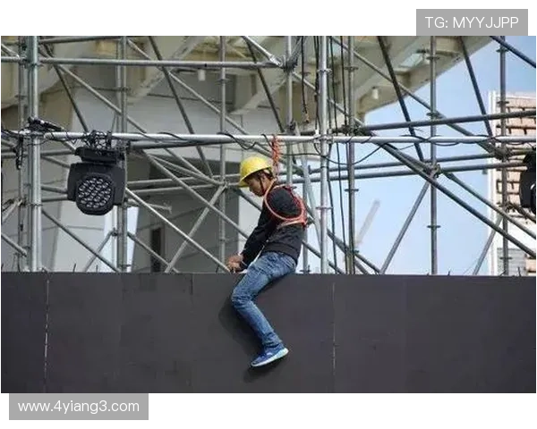 第93期开奖结果揭晓，幸运号码震撼出炉